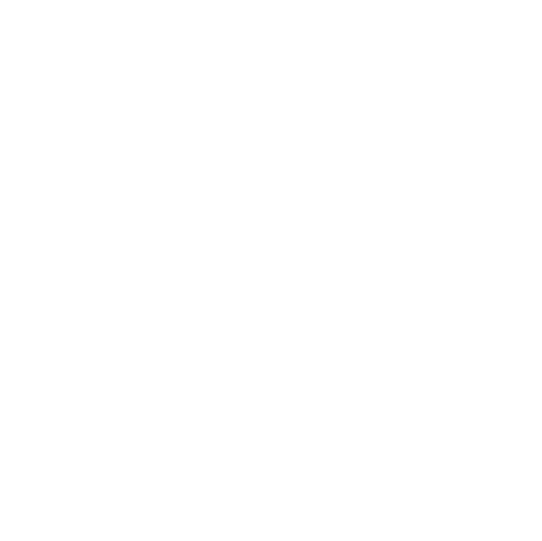 Salitre 100